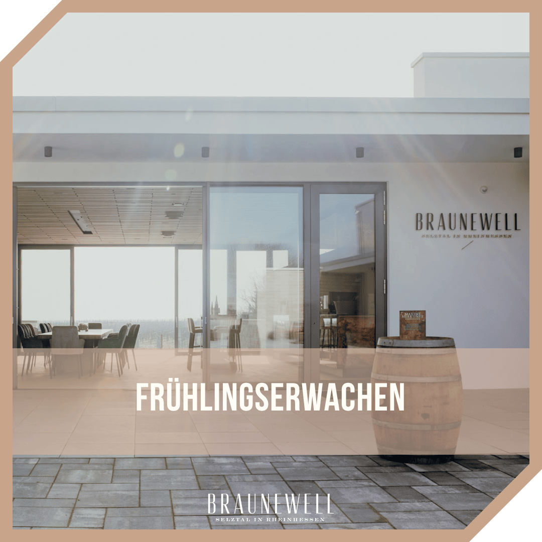 Website – VA Frühlingserwachen