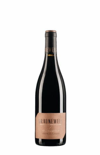 2016 TEUFELSPFAD Spätburgunder trocken