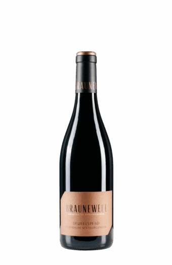 2020 TEUFELSPFAD Spätburgunder trocken