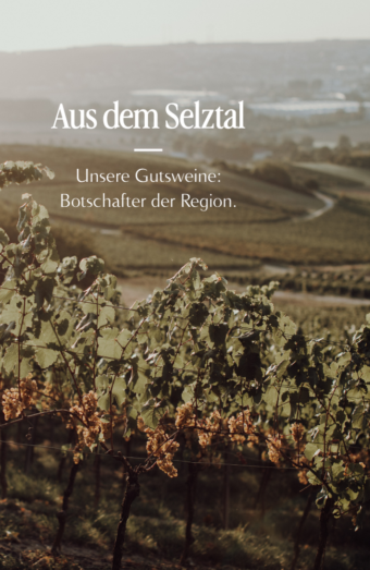 Weinpaket - Aus dem Selztal