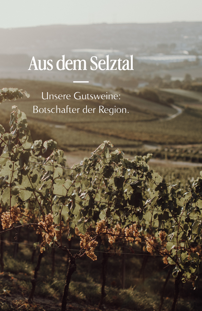 Weinpaket - Aus dem Selztal