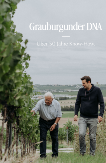 Weinpaket - Grauburgunder DNA