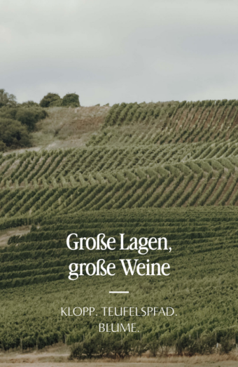 Weinpaket - große Lage, große Weine