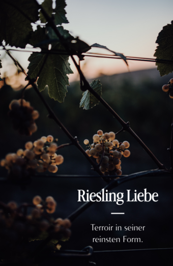 Weinpaket - Riesling Liebe